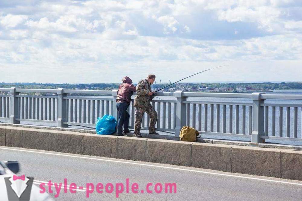 La pesca a Saratov sul Volga: foto e recensioni
