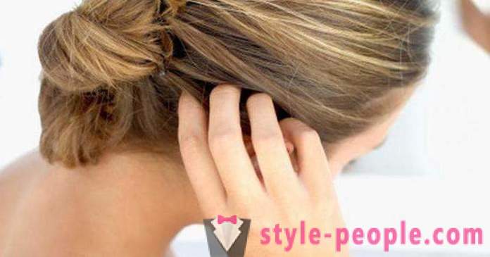 Perché danneggiare le radici dei capelli sulla testa: cause e rimedi