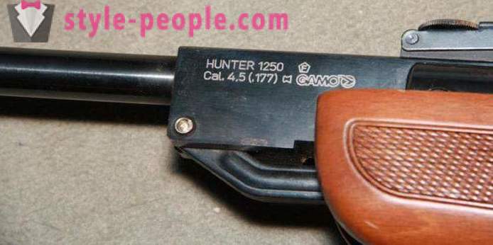 Fucile ad aria compressa Gamo Hunter 1250: panoramica, caratteristiche e recensioni