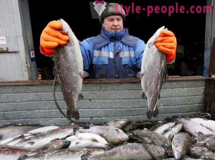 Pesca in Khakassia pescatori Tips