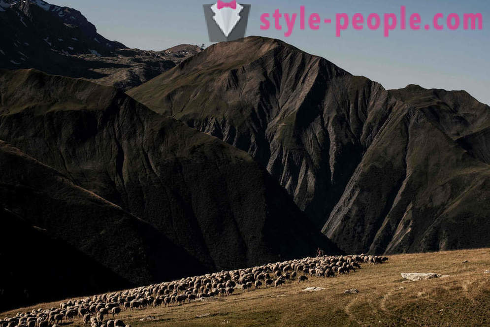 La vita del pastore nelle Alpi