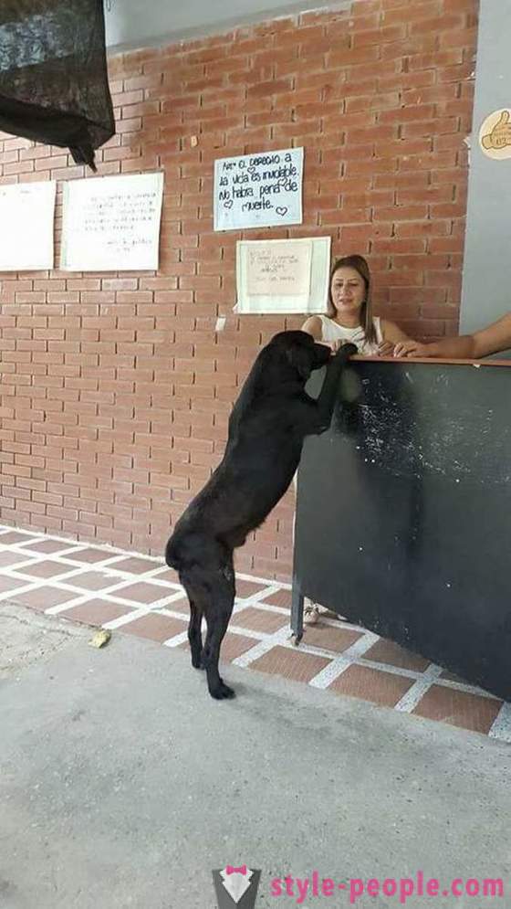 Il cane ha imparato a comprare cibo per la propria moneta