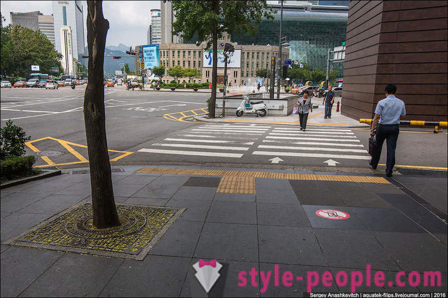 Come ad animare la giungla di cemento di Seoul