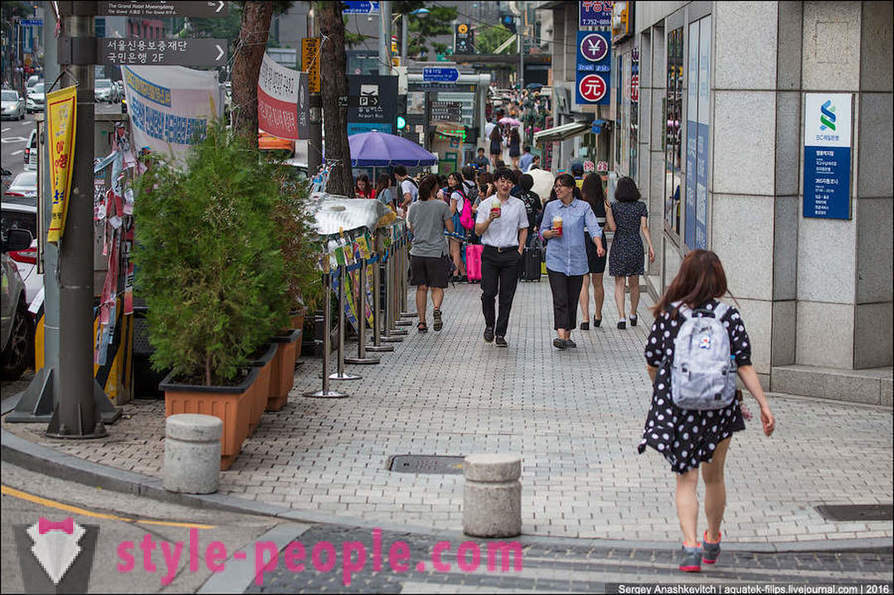 Come ad animare la giungla di cemento di Seoul