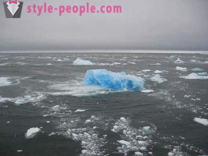 Iceberg stupefacenti