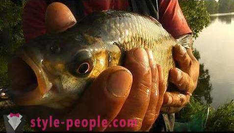 Pesca sul Pakhra: foto e recensioni. punti di pesca