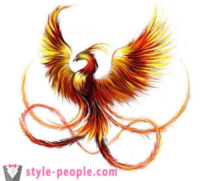 Phoenix Tattoo: schizzi e opzioni