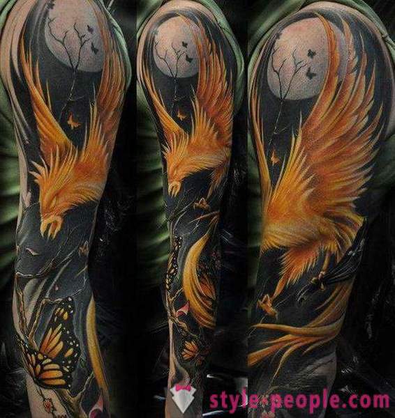 Phoenix Tattoo: schizzi e opzioni