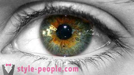 Colore degli occhi palude. Che cosa determina il colore dell'occhio umano?