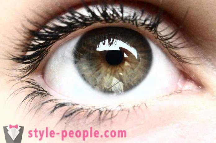 Colore degli occhi palude. Che cosa determina il colore dell'occhio umano?