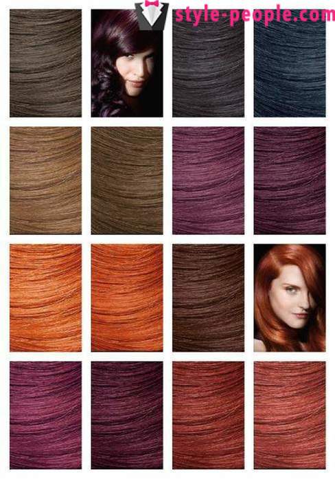 La tavolozza di colori dei capelli 