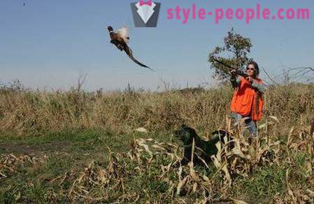 A caccia di fagiani con husky (foto)
