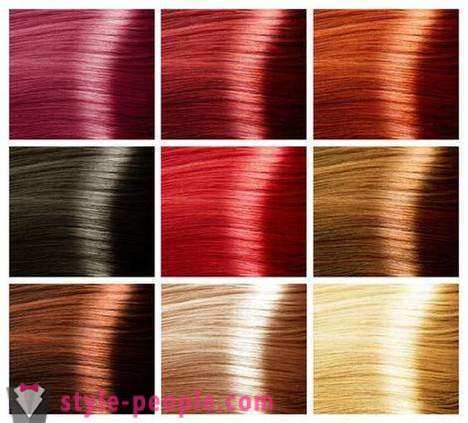 La tavolozza di colori dei capelli. La palette di colori della vernice per i capelli