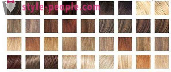 La tavolozza di colori dei capelli. La palette di colori della vernice per i capelli