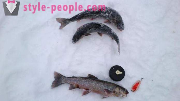 Pescatori di notare: pesca alla trota in inverno