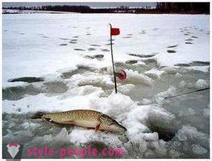 Pesca del luccio in inverno zherlitsy. Pike pesca nel traina inverno